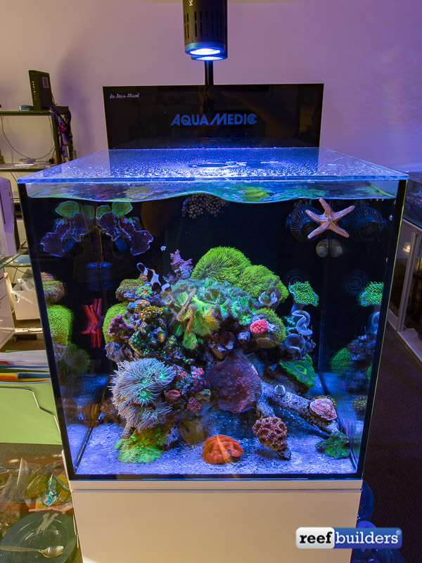 An explosion of color in Aqua Medic USA’s Cubicus reef tank | Reef ...