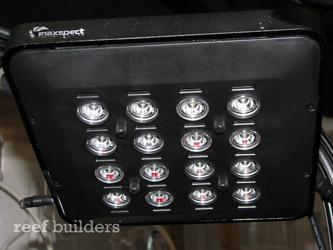 Mazarra LED by Maxspect