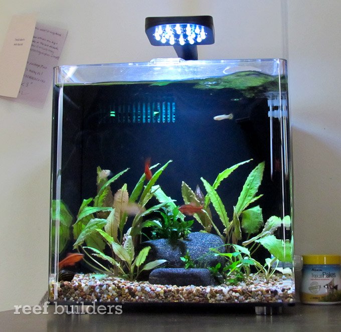 bon Vijfde Ontwikkelen Aqueon Evolve desktop aquarium is the cheapest tank we'd actually buy | Reef  Builders | The Reef and Saltwater Aquarium Blog