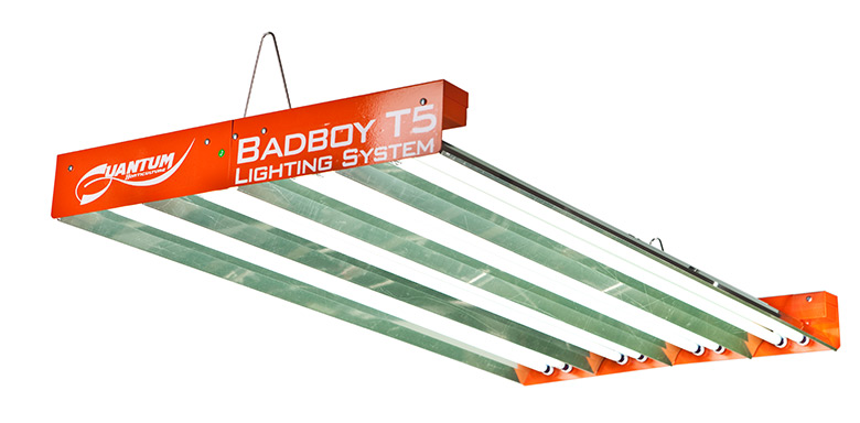 quantum badboy t5