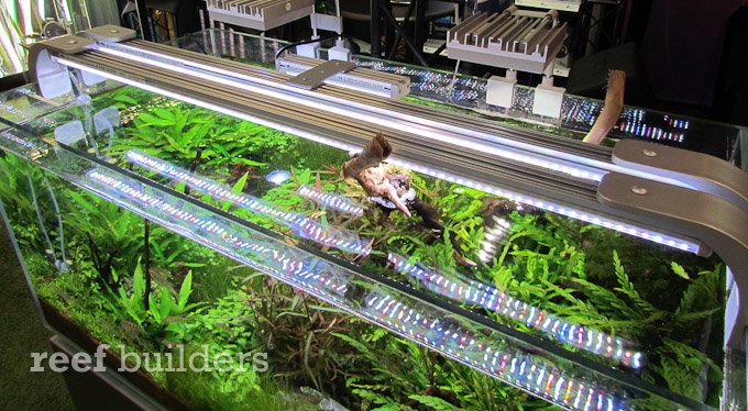 Bijdragen sigaar Creatie SolarStinger LED SunStrips by EconLux use an army of diodes for best color  and spread | Reef Builders | The Reef and Saltwater Aquarium Blog