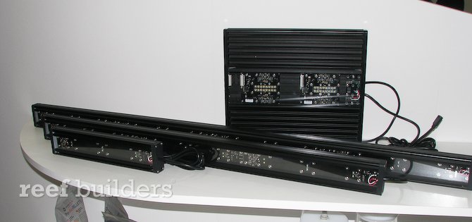 vertex illlumina
