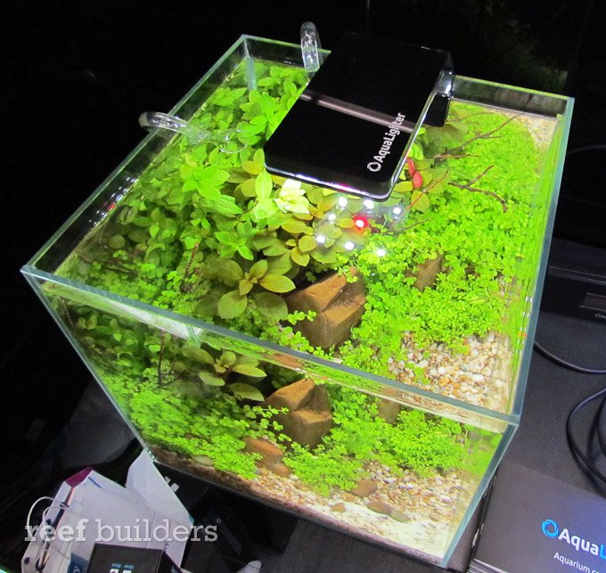 Kiezen Decoratie orgaan Top 5 LED lights for nano reef aquariums in 2012 | Reef Builders | The Reef  and Saltwater Aquarium Blog