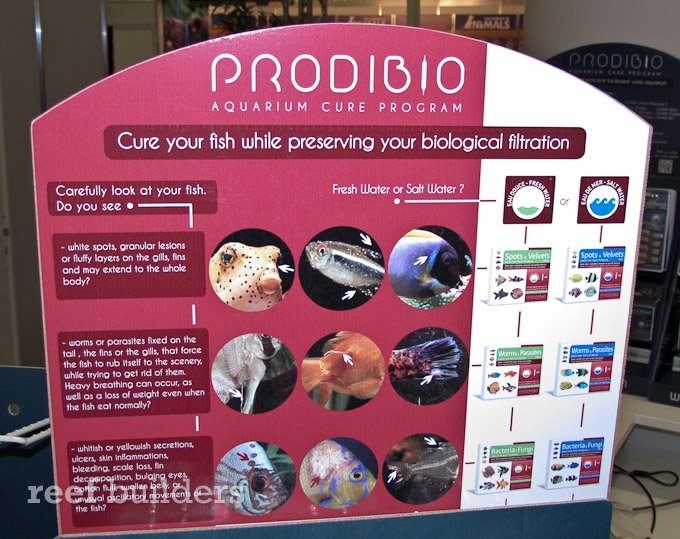 prodibio medicine