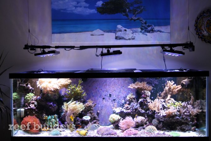 reef aquarium led light