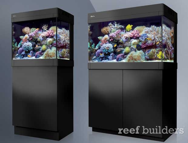 Red Sea explains the omission of LED lighting from the new Max C | Builders | The Reef Saltwater Aquarium Blog