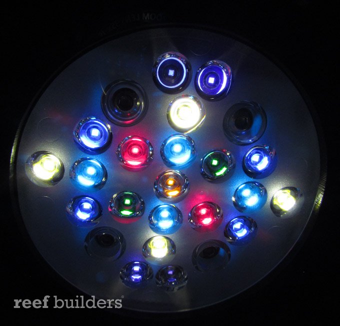 Radion Pro's eight color LED cluster brings out incredible coral