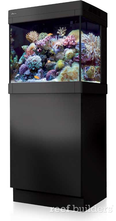 Fortov Karu hensynsløs Red Sea MAX C series 130 and 250 all-in-one (AIO) aquariums | Reef Builders  | The Reef and Saltwater Aquarium Blog