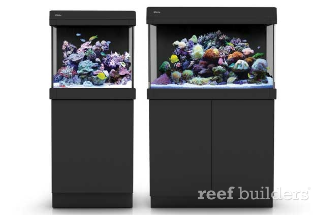 pustes op Tag telefonen tigger Red Sea MAX C series 130 and 250 all-in-one (AIO) aquariums | Reef Builders  | The Reef and Saltwater Aquarium Blog