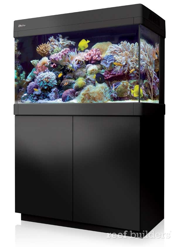 red sea max C series aquarium