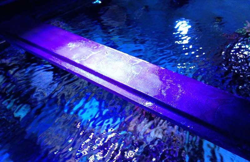 I ended my aquarium’s stupid plastic center brace with a ‘Brace