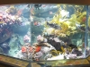 seashine-lifi-monterey-bay-aquarium