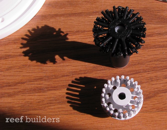 saltwater connection cone protein skimmer