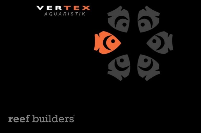 vertex-desktop-10