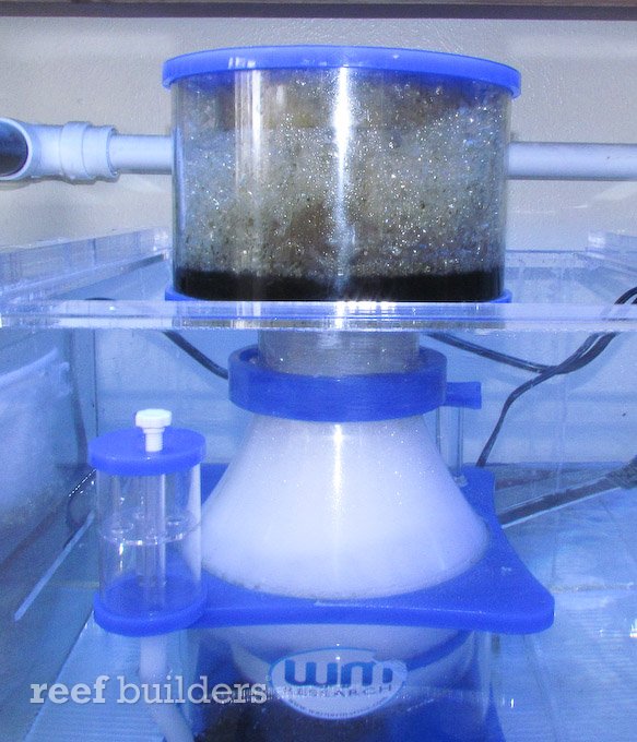 vertex protein skimmer cleaner vectra