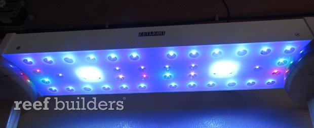 zetlight led light preview