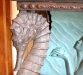 bronzed-seahorse-aquarium-4