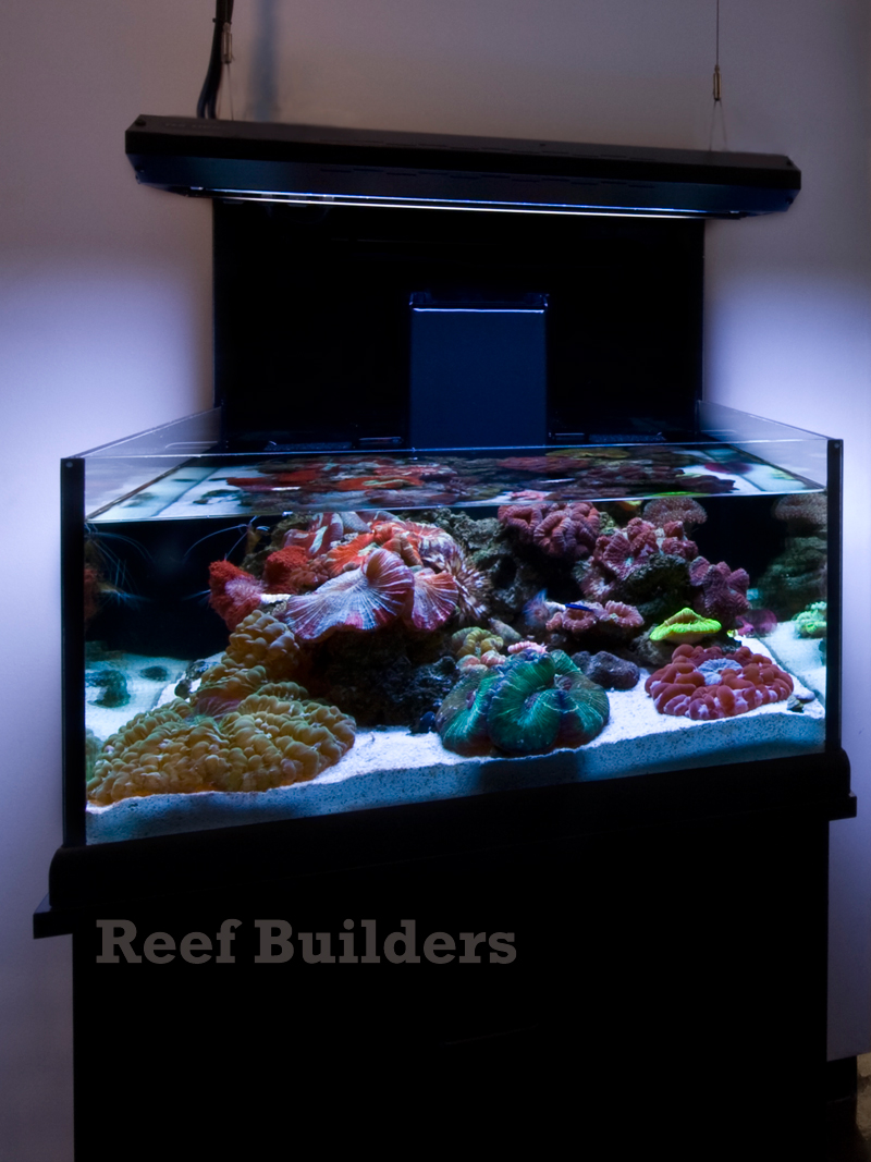 Neo Nano from Deepsea Aquatics introduces some welcome innovations