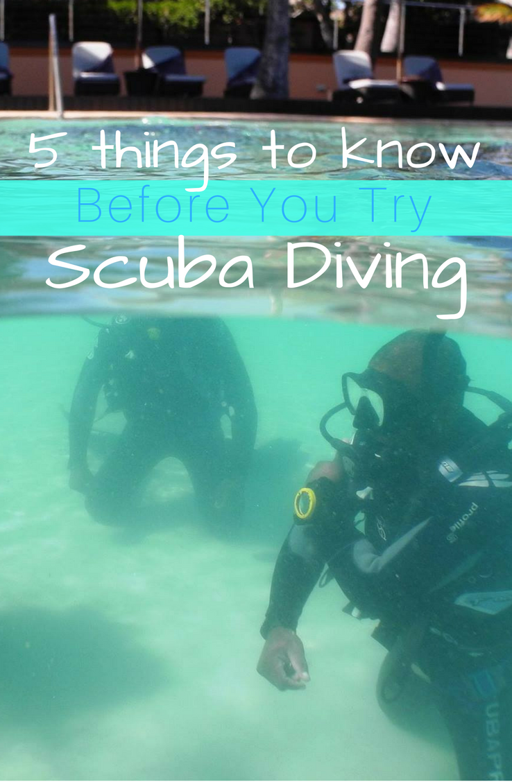 5 Tips To Know Before Your First Open Water Dive, Reef Builders