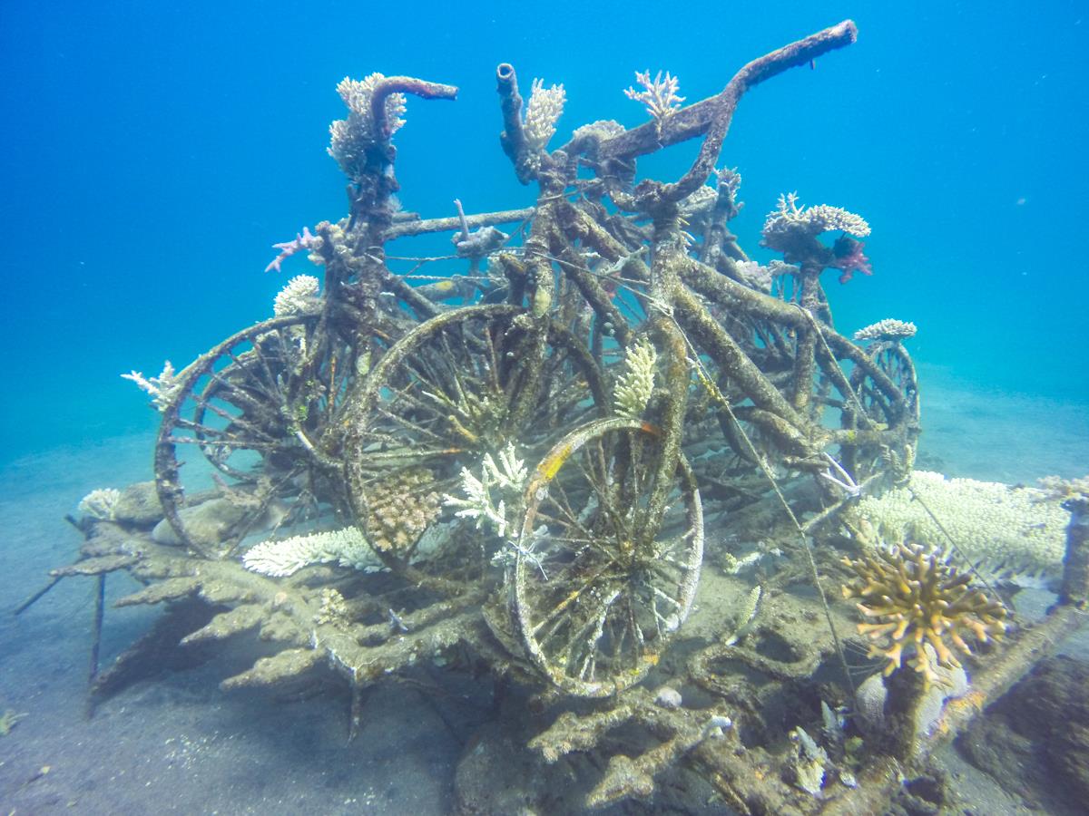 Bike-Sculptures Permuteran Bay - Reefdivers.io Photo Nicole Helgason
