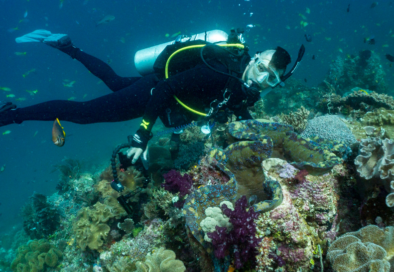 Diving next to a Tridacna gigas clam in Raja Ampat Indonesia