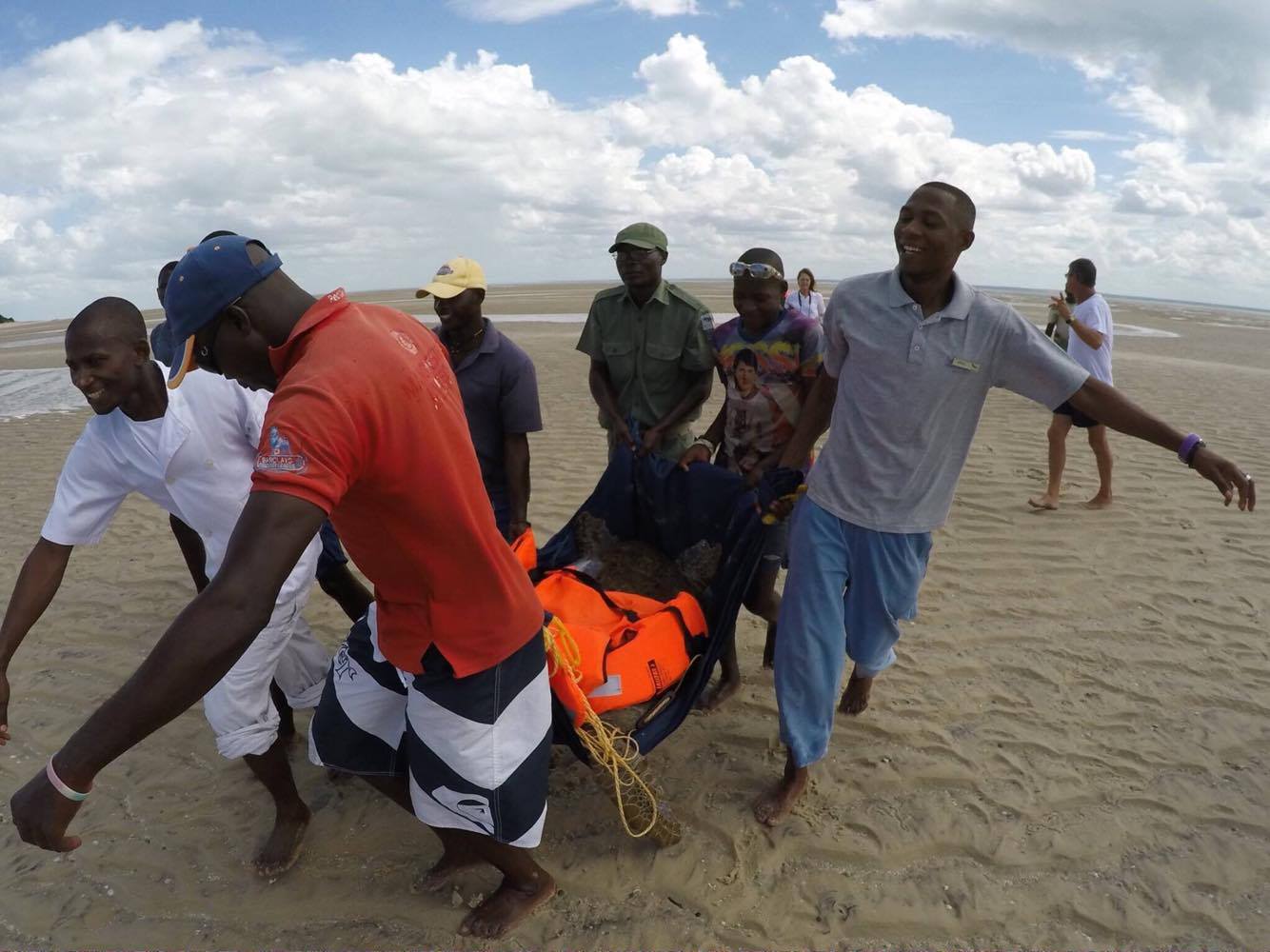 Park officials and hotel staff carry the sea turtle back to safety