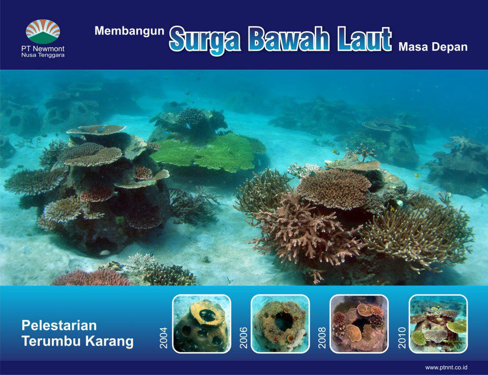 Reef-Ball-Surga-Bawah-Laut