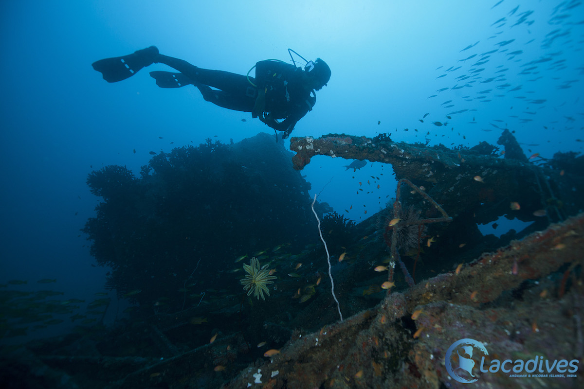 Shipwreck dive Photo @Luminousdeep