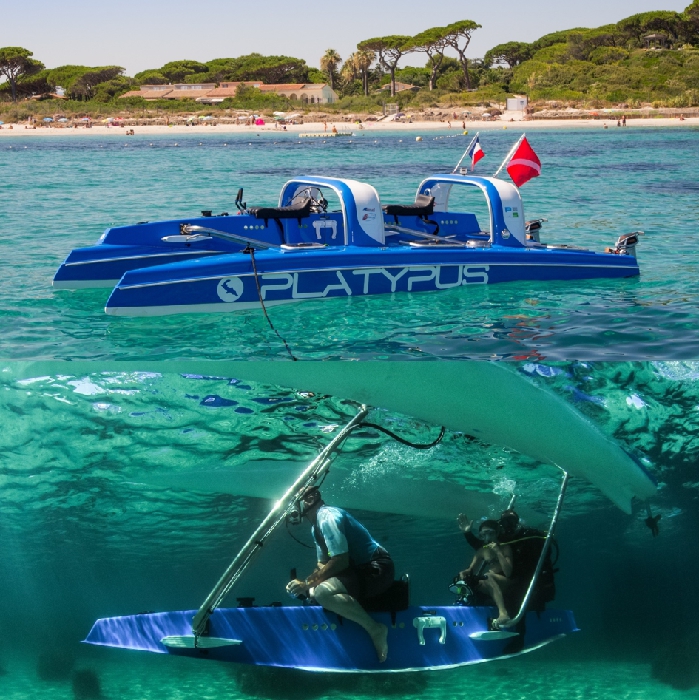 platypus-submersible