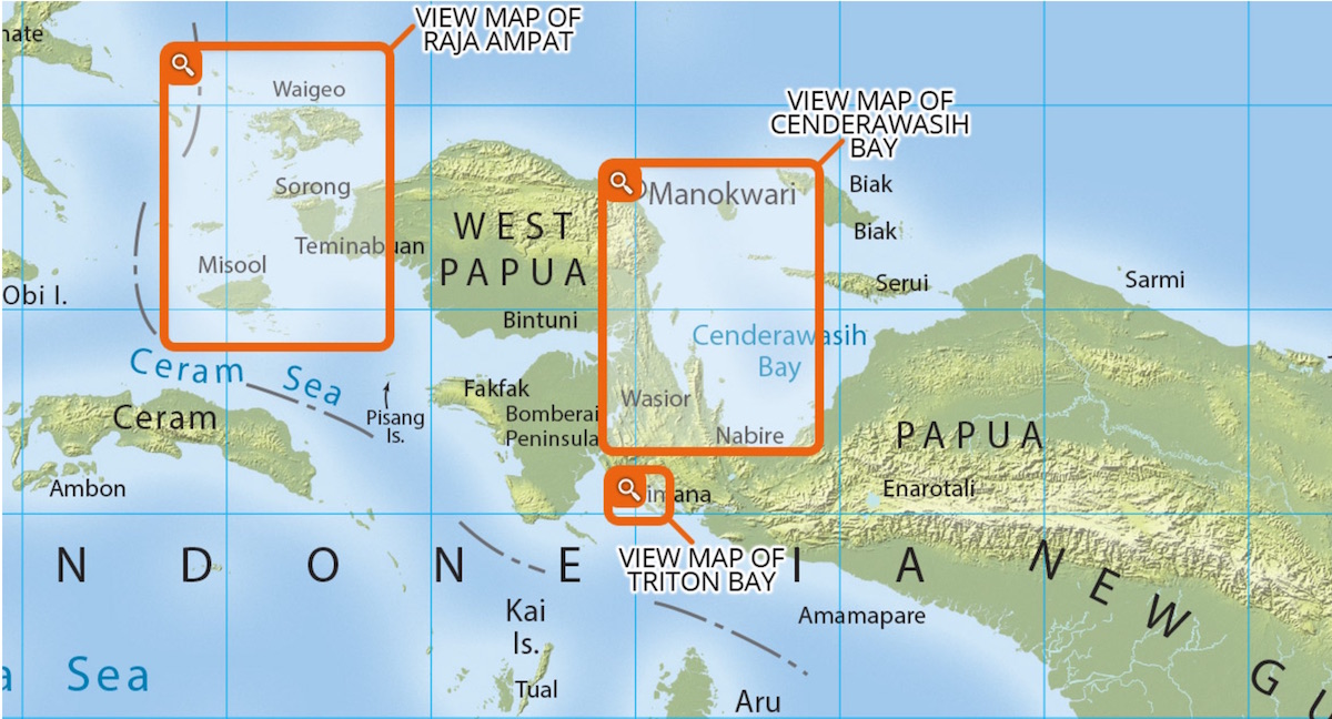 Map of Bird Heads Seascape