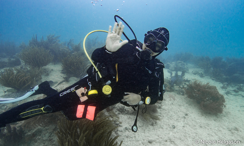 Scuba Diver Playa Del Carmen