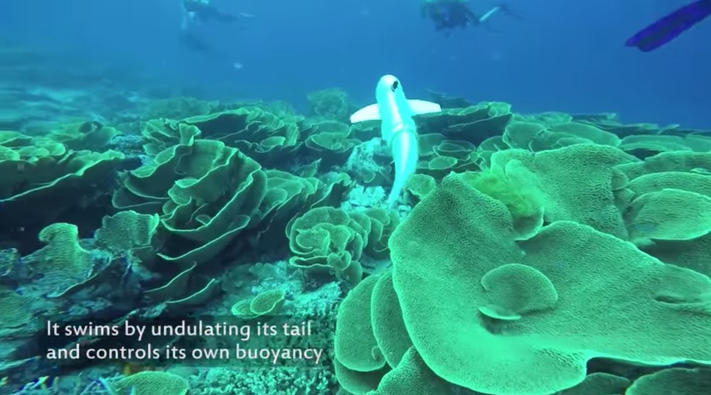 A Soft Robotic Fish Explores the Ocean - NauticExpo e-Magazine