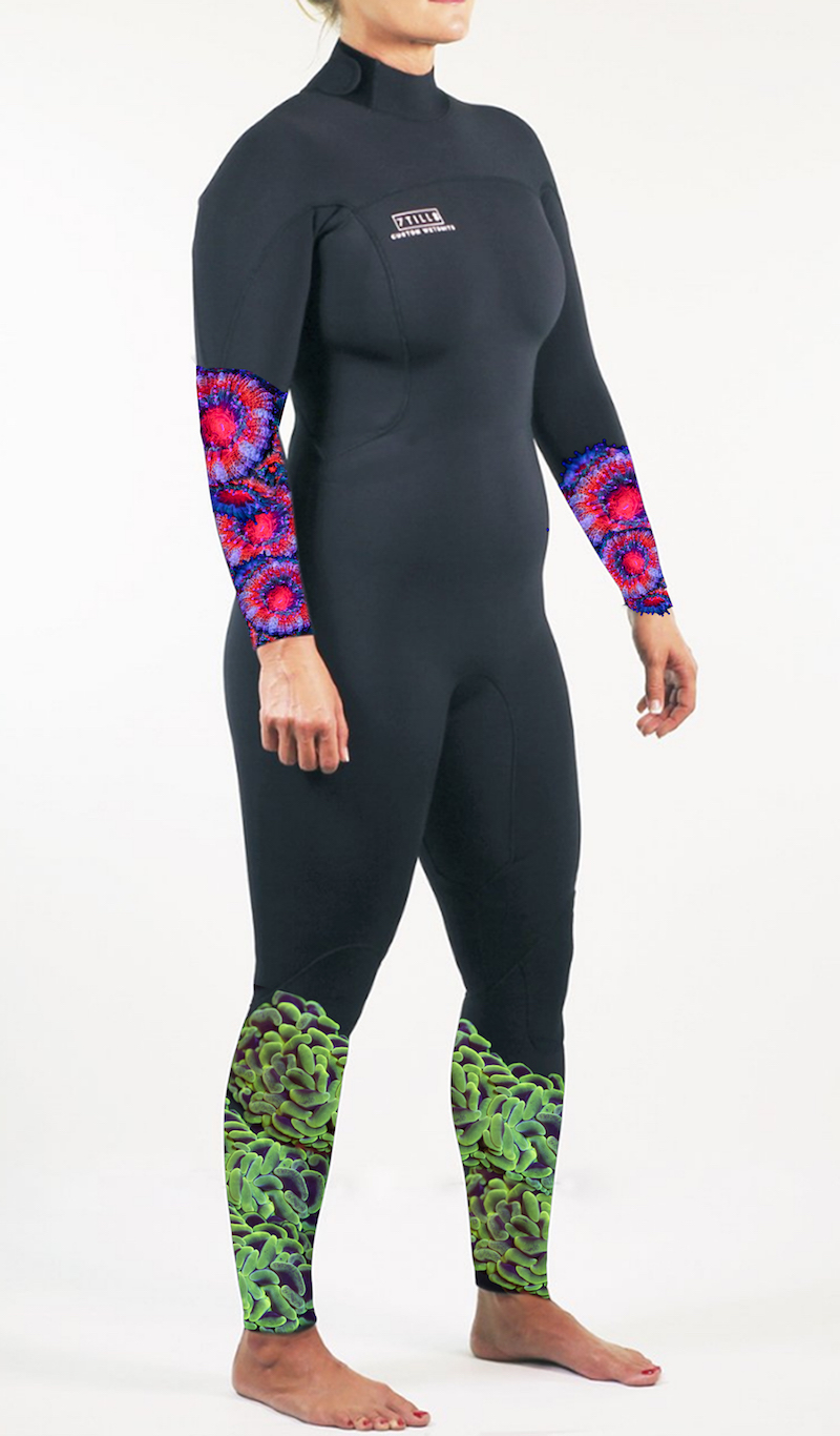 Introducing 7TILL8 Custom Fit Wetsuits Reef Builders The Reef and