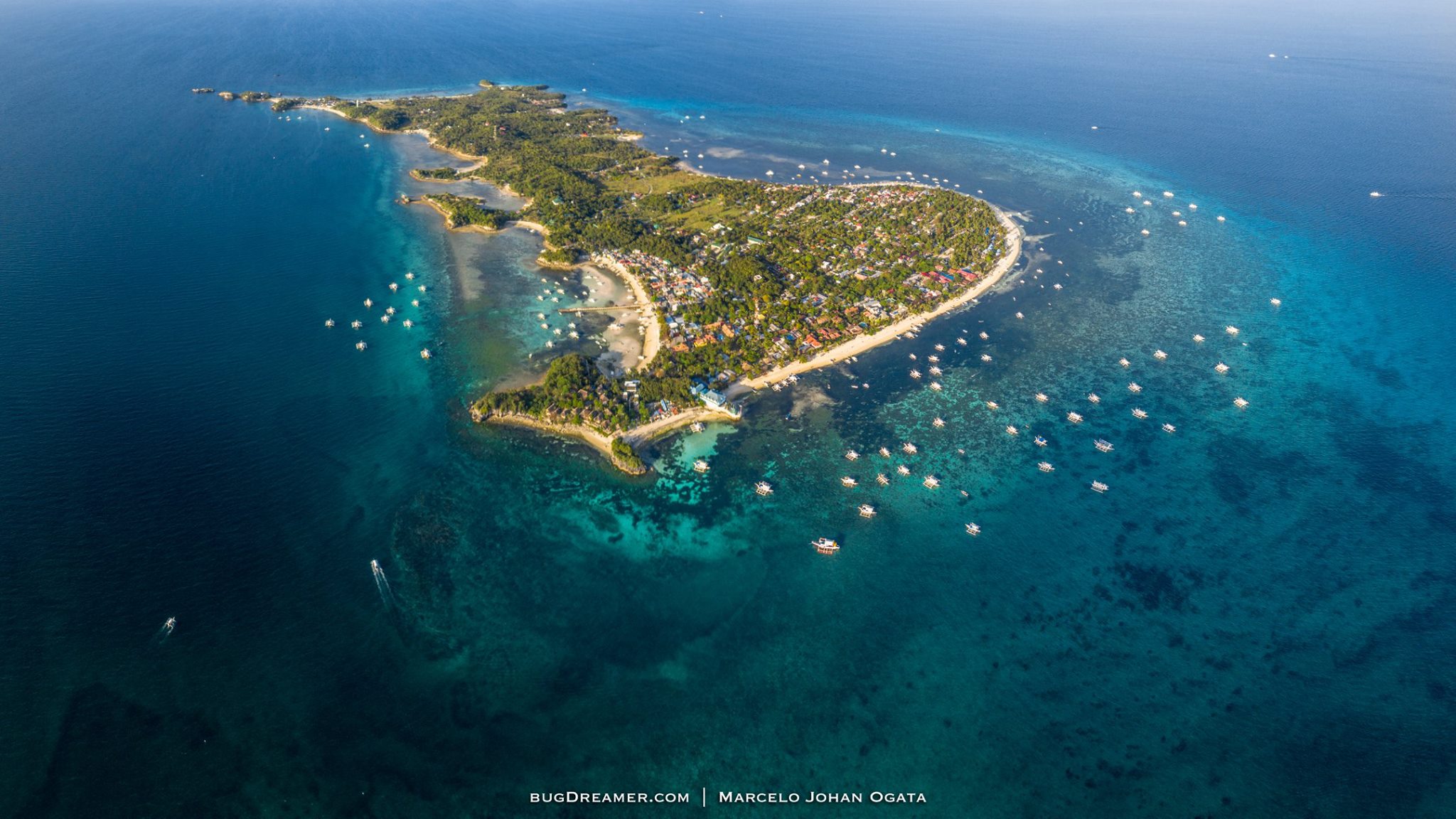 Shark Diving Malapascua 